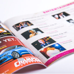 Dynagraphics-work-program