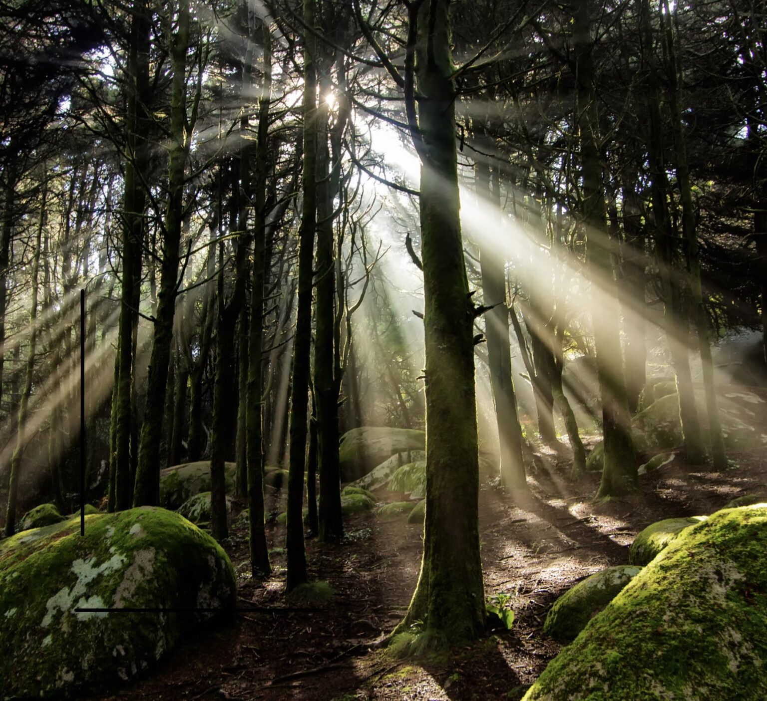 Reno Printing Services | Digital & Offset Printing | DynaGraphics